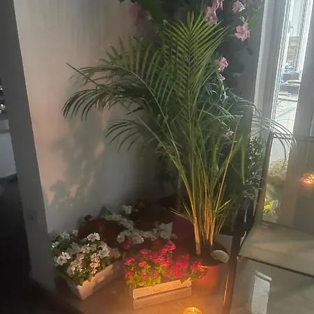 Apartment Penthouse *
